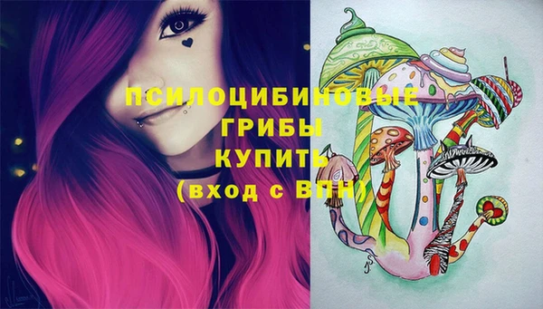 круглые Вязьма
